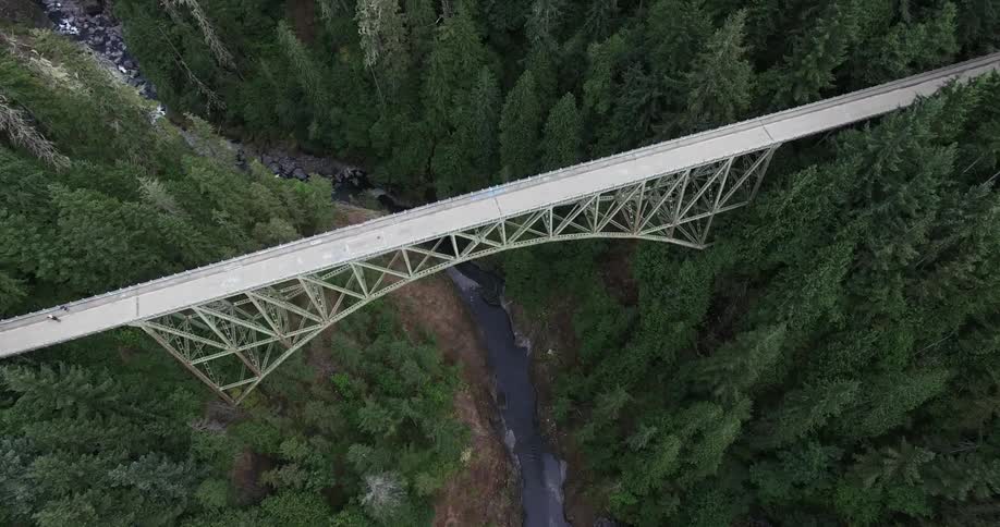 Large white bridge over a forest gorge
