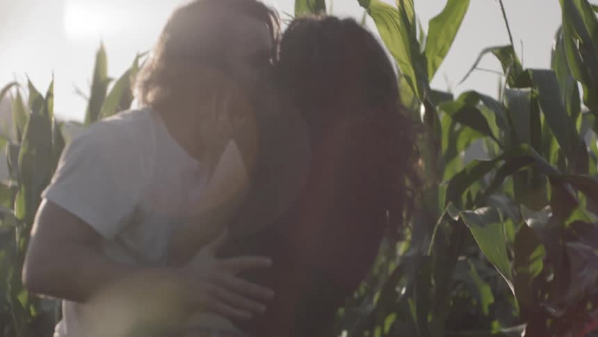A young couple kiss under a sunset in a crop field