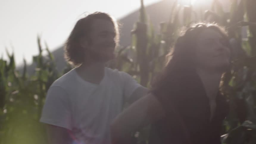 Romantic couple kissing and hugging as the walk through a cornfield