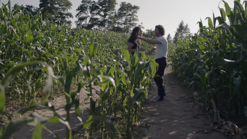 A man and a woman walk through a corn field holding hands