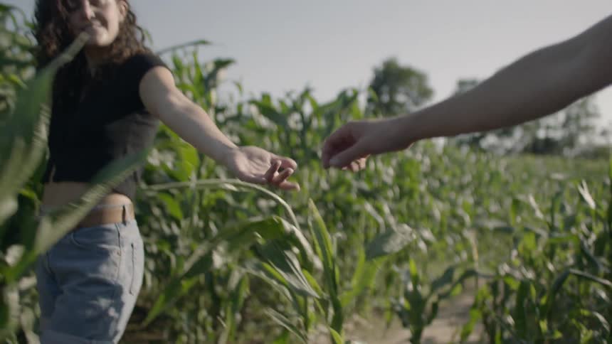 A man and woman grab each others hands then hug and spin around while walking through a corn field