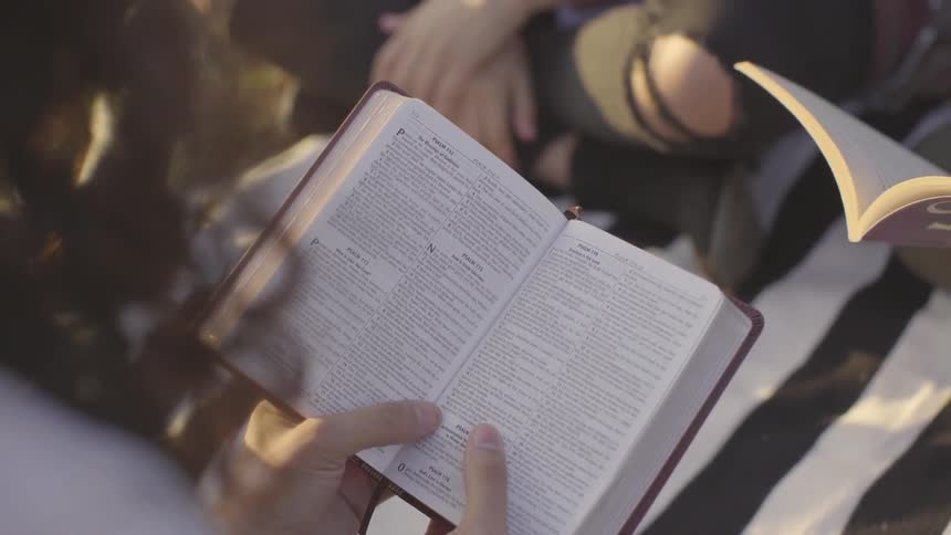 Two women outside on a blanket reading books while a third woman sits with her legs crossed