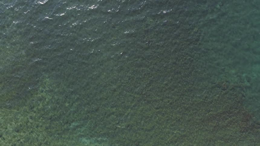 A view of the water