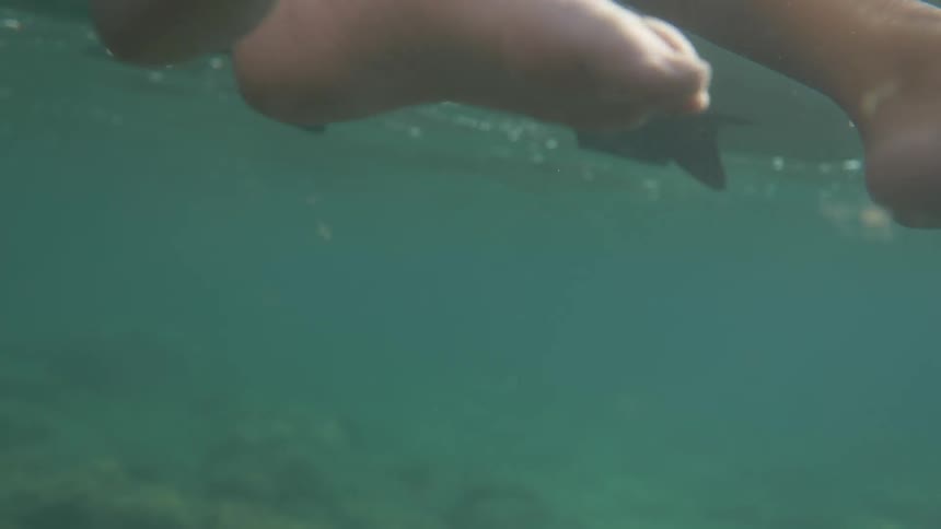 People have their feet in water