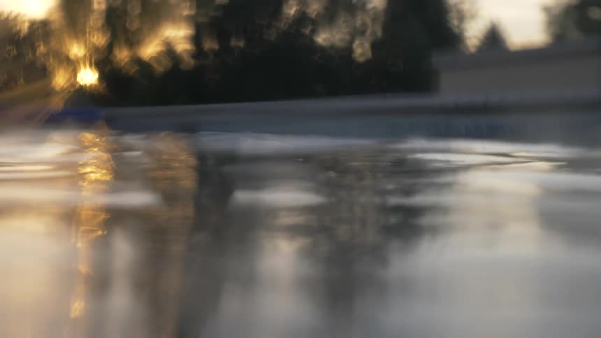 A pool with trees and the sun in the background