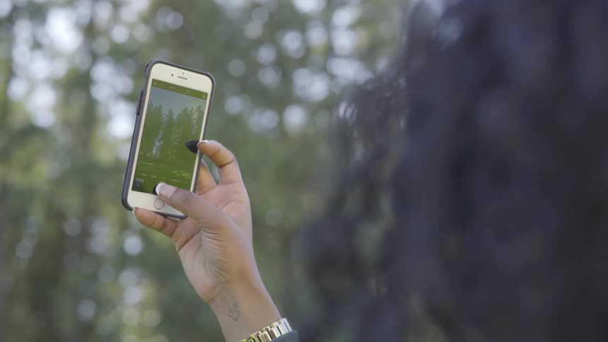A woman holds up her phone and photographs the surrounding trees