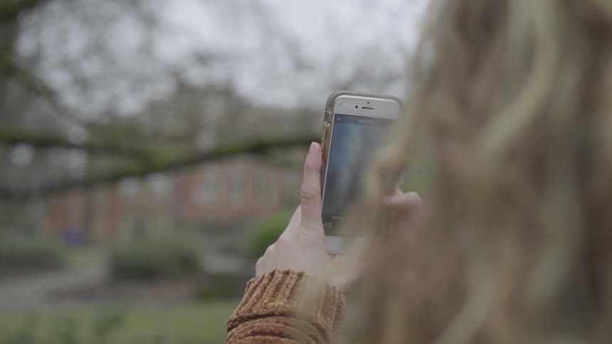 A woman takes a picture of a tree
