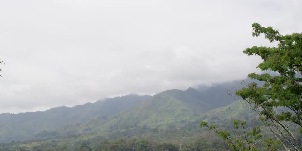 View of mountains and trees on a cloudy day