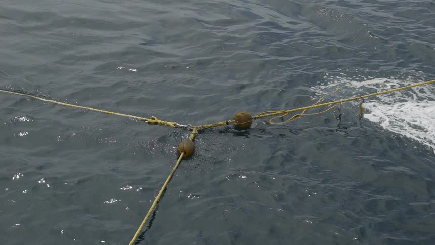 Three ropes tied together with hook falls into the sea during daylight