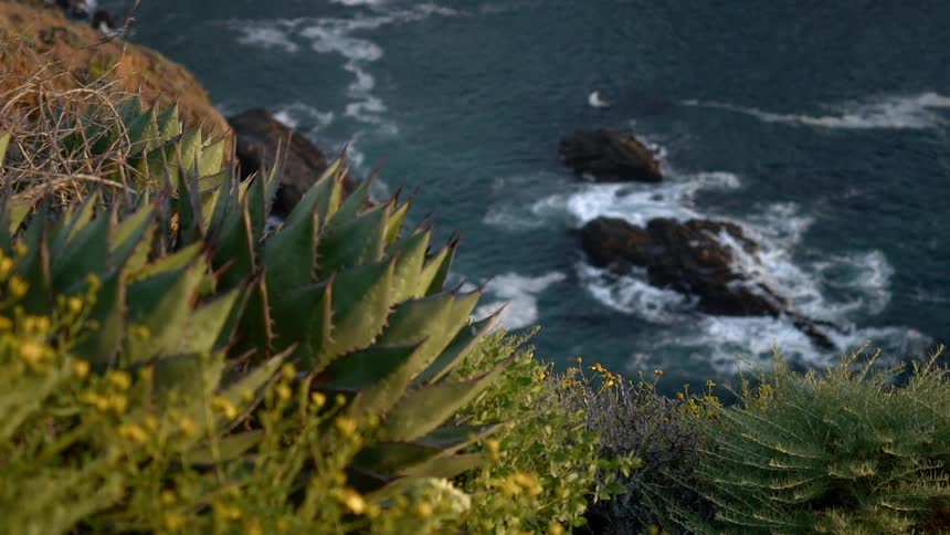 The camera looks down on the ocean with plants on a cliffs edge