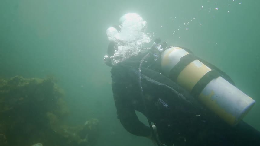 A diver swims underwater