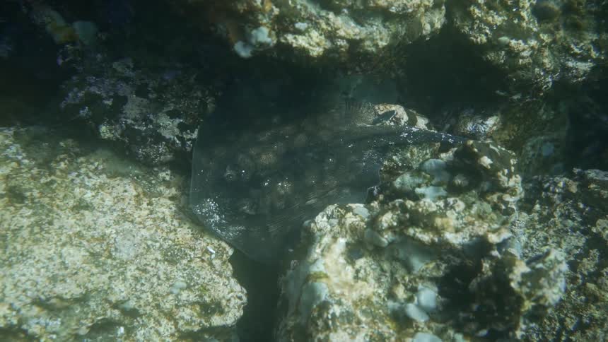 An underwater shot of rocks