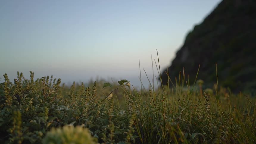 The wind is blowing the grass on the hill by the water