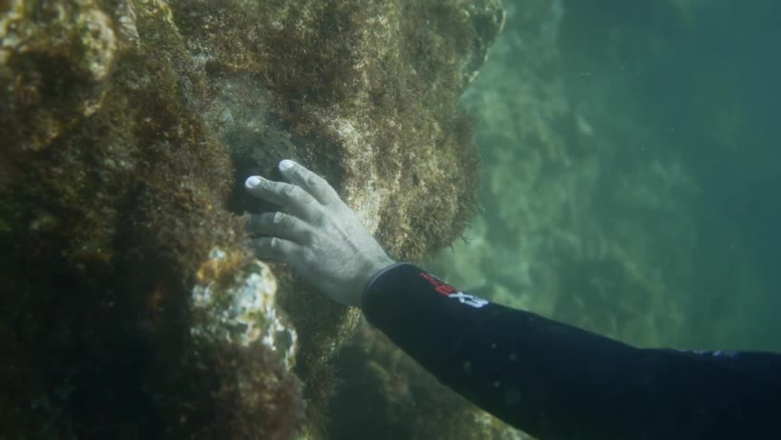 A man touches the rocks underwater