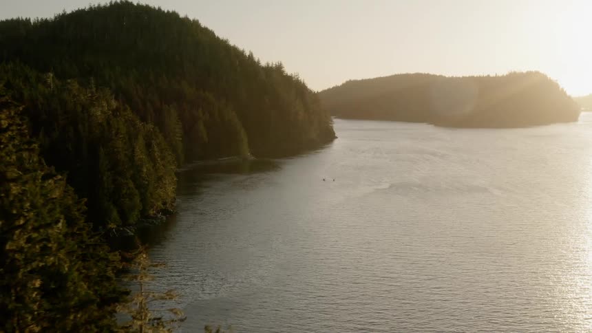 A lake at daytime with trees and the sky in the background