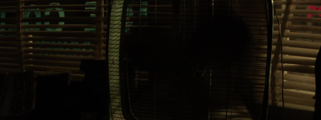 Time lapse of a fan