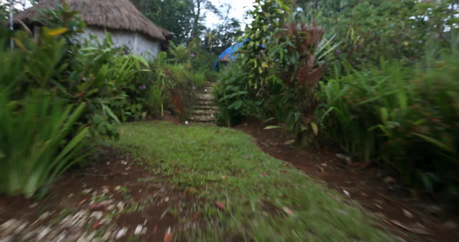 A speedy view of travelling along a grassy and rocky path in a garden