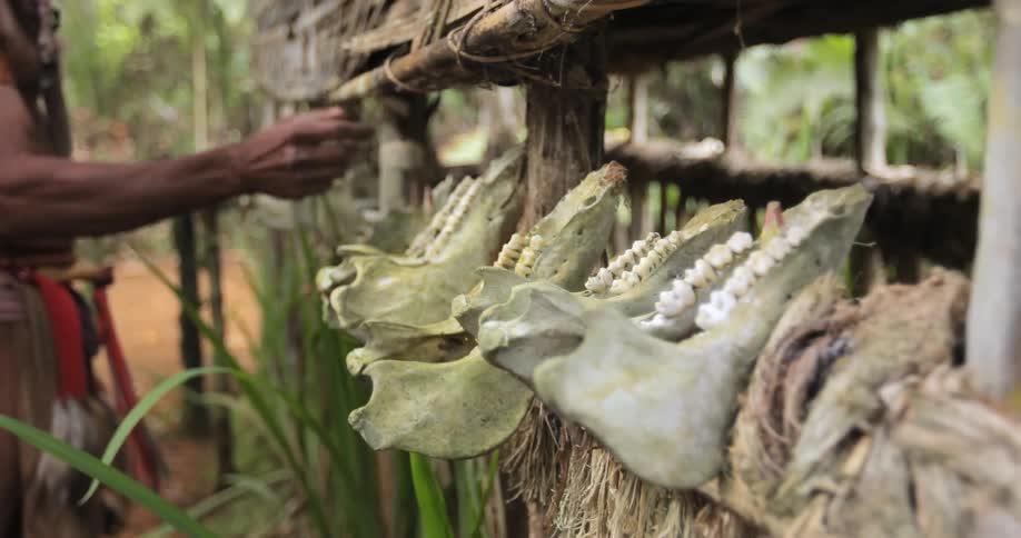 Man organizing his hut