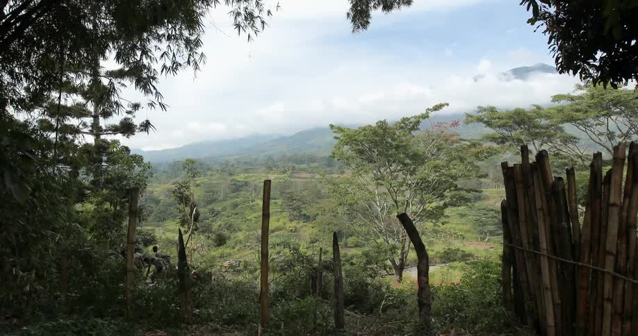View of a forest path leading to a cliff that overlooks a hilly valley as mountains peak over low clouds in the background