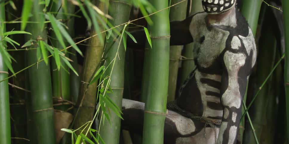 Indigenous man wearing skeleton face and body paint stands among the bamboo