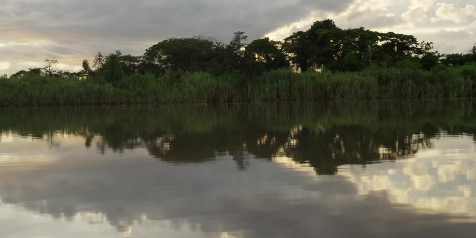 View of a calm lake that is reflecting the tree lined shore on a cloudy day