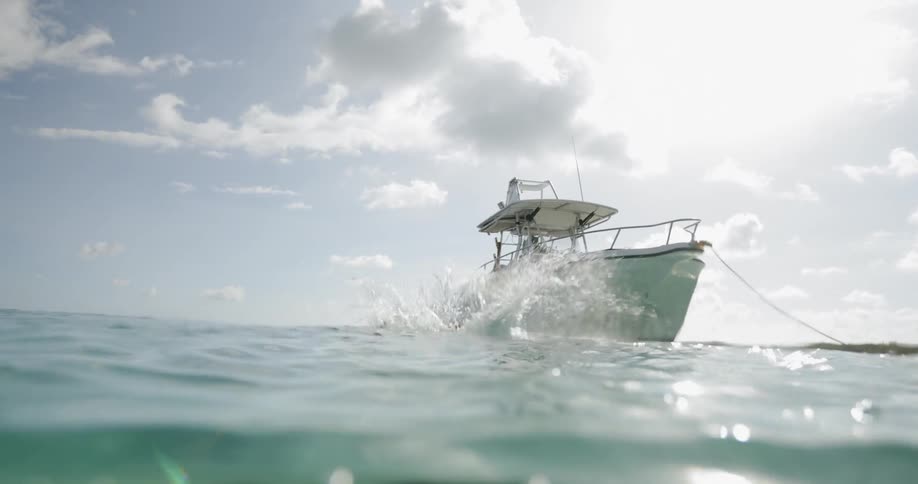 A woman dives off of an anchored boat into the sea