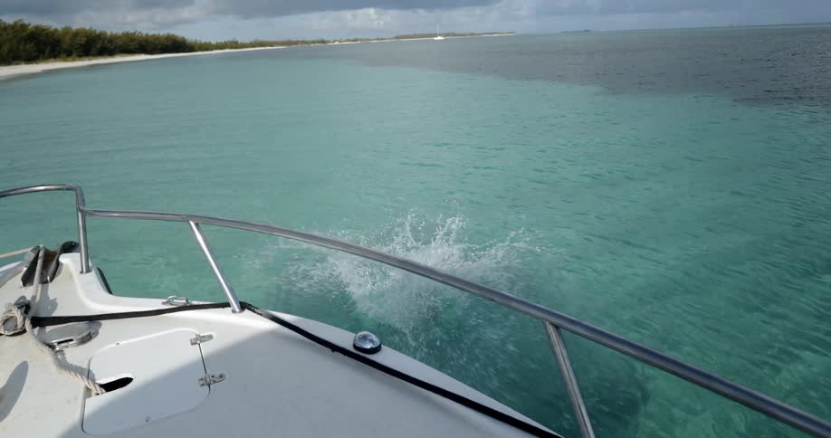 A woman dives off a boat in to the water