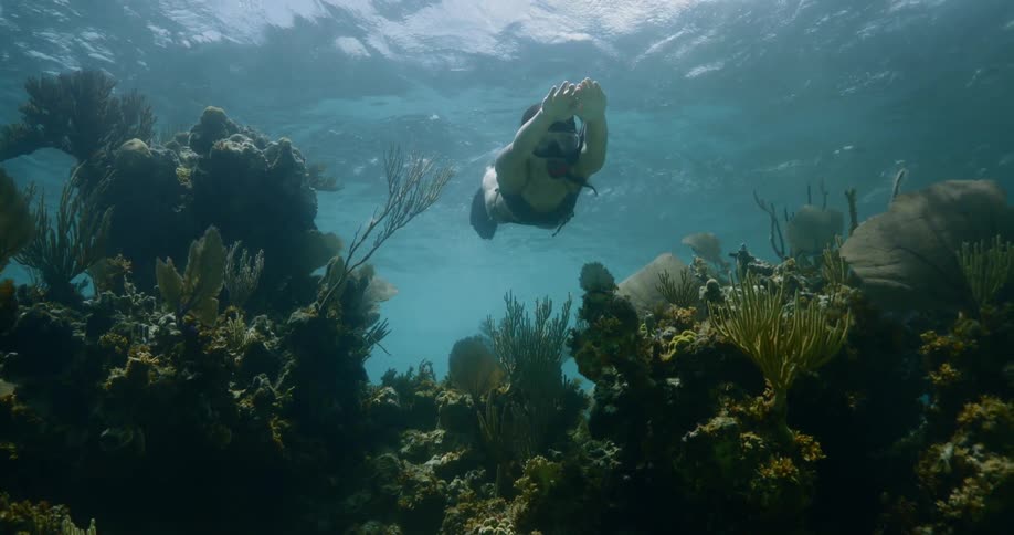 A woman swims underwater and looks at coral
