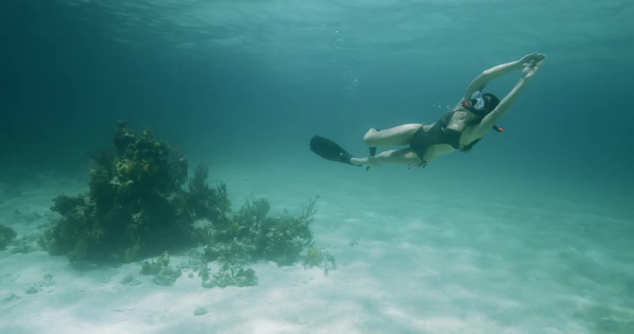 A female in a bikini swimming underwater