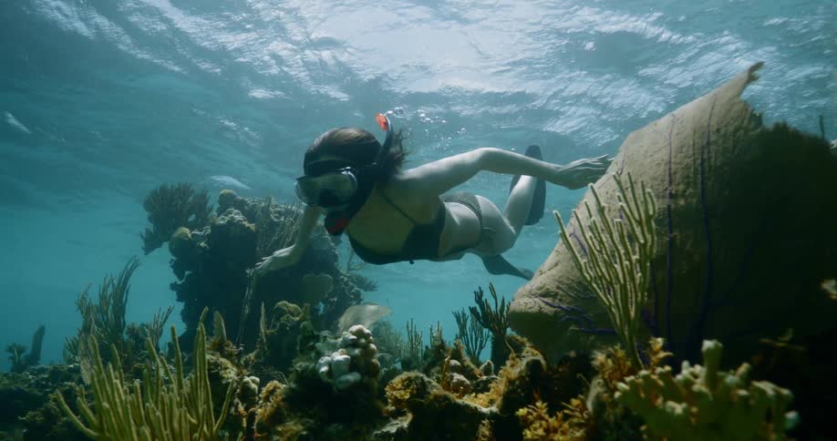 A female snorkeler swimming near the plant life on the sea floor