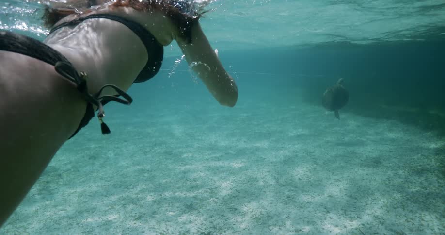 Woman swimming underwater following a sea turtle