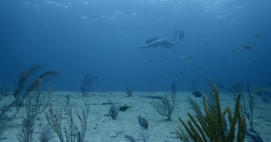 A woman is diving and swimming underwater