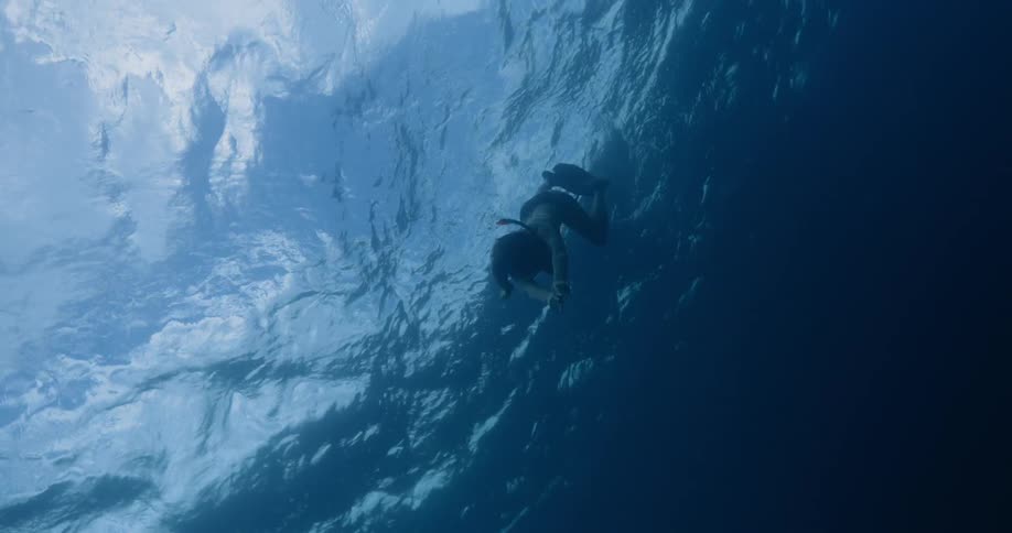 A woman kicks her flippers and swims down away from the ocean surface