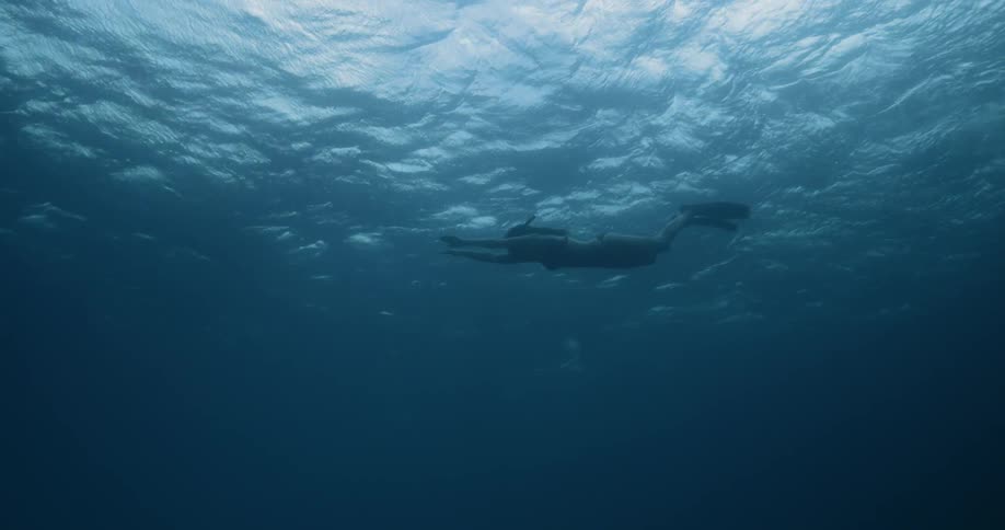 A female snorkeler swimming just under the surface of a body of water