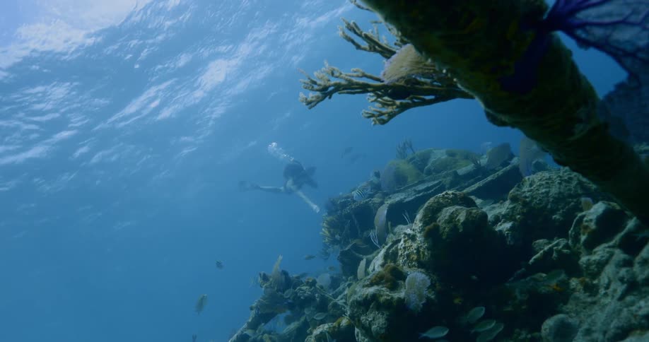 A person swimming underwater with a snorkel
