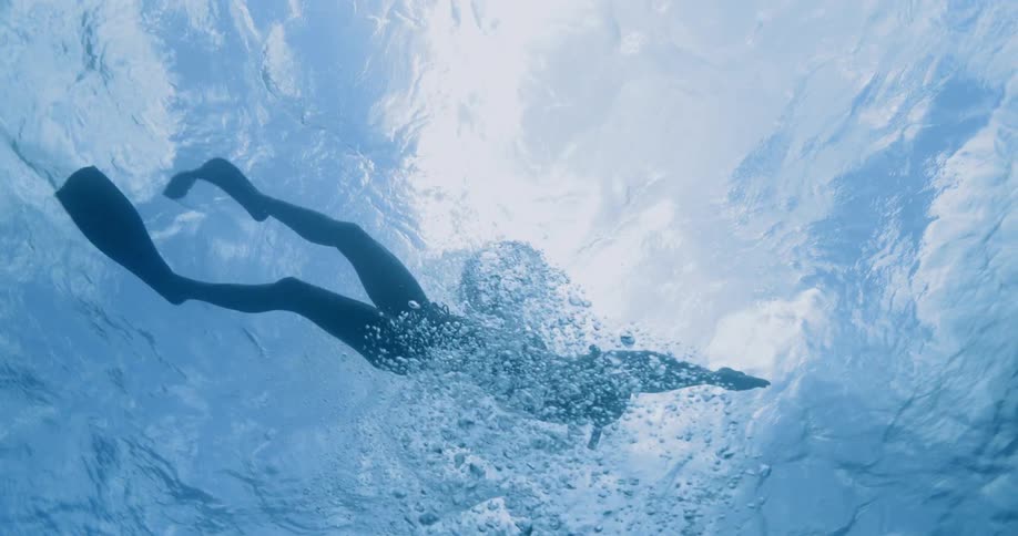 A female snorkeler swimming just below the surface of a body of water