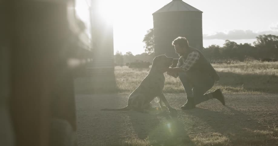 A man kneeling and petting a dog outdoors in the country