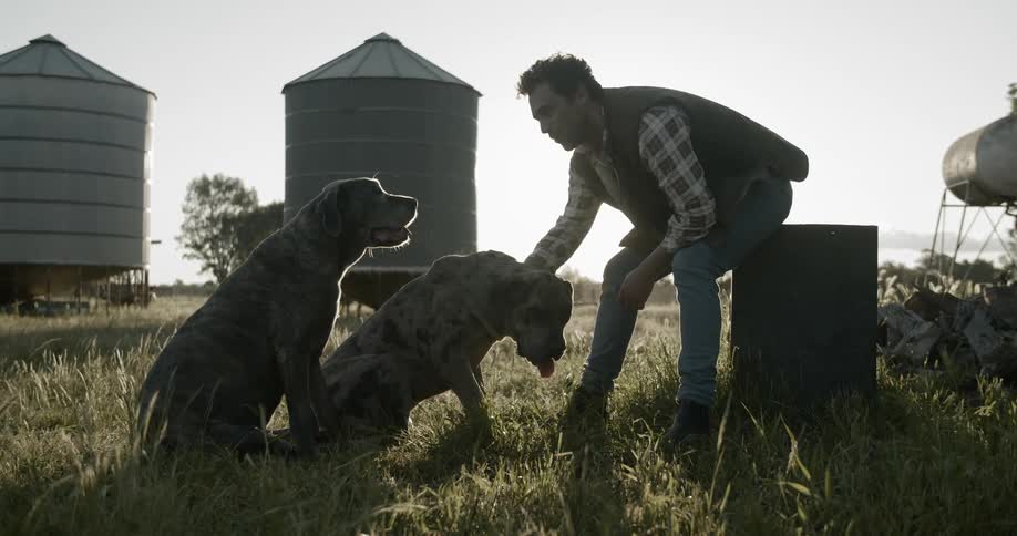 A man outside in the grass petting his dogs