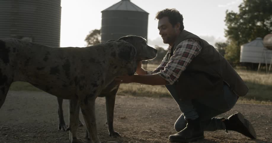 A man kneeling down outside packing his dogs