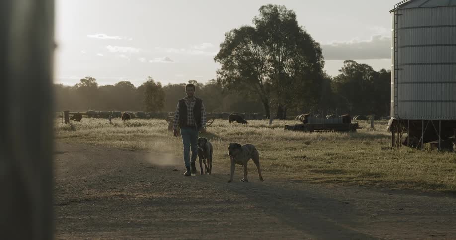 Man walks past silos with two dogs