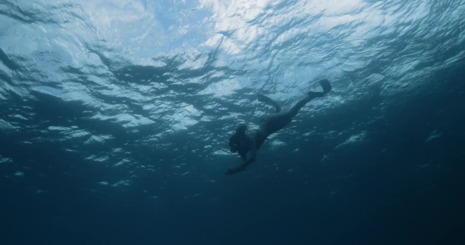 A female snorkeler diving into a body of water