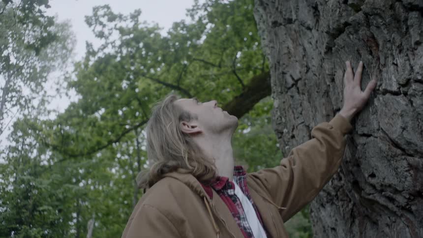 A man with long hair touches the trunk of a tree in daylight