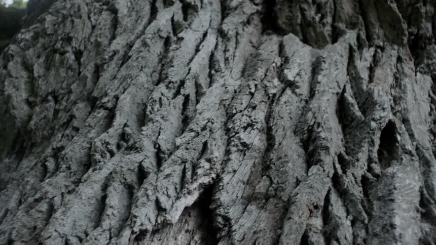 Close up view of a rocky cliff