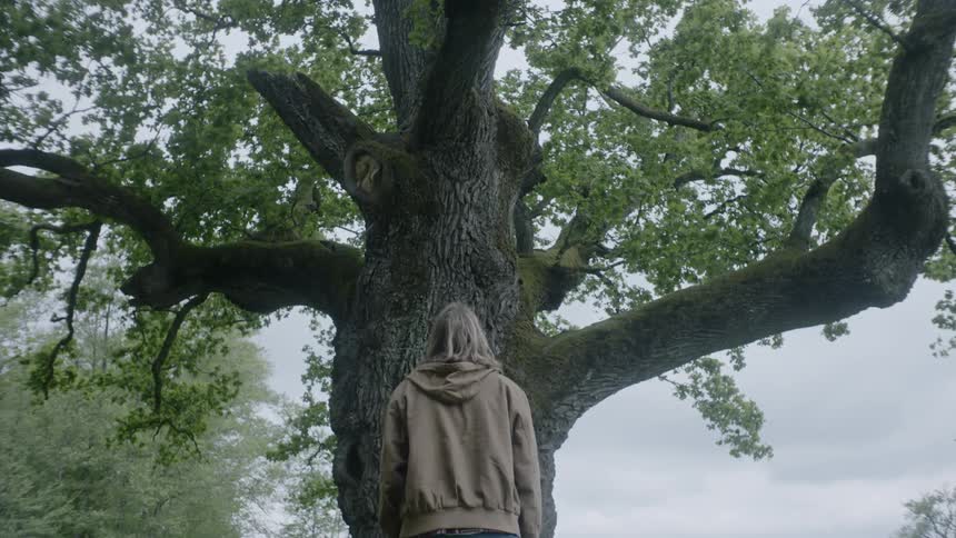 A person standing in front of a large tree