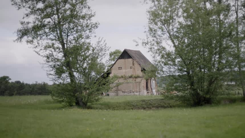 A house in disrepair in the middle of a field with 2 trees