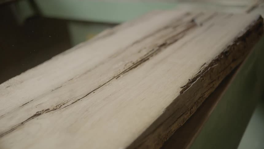 A close up of a cut log