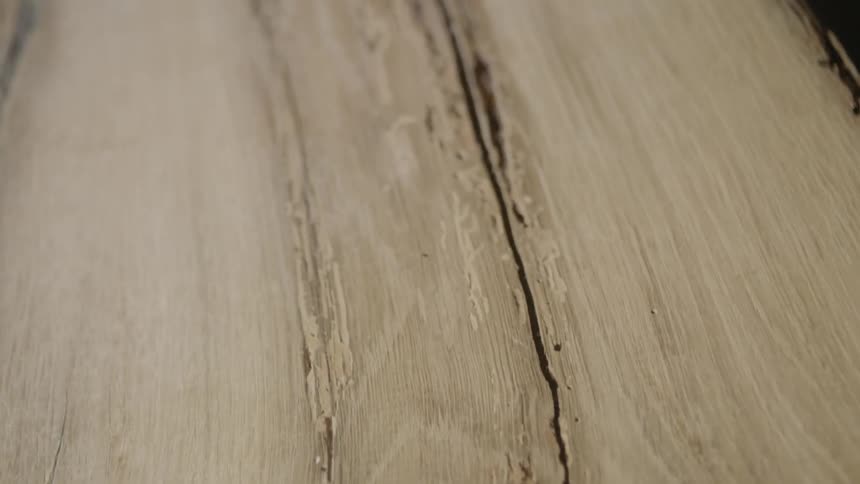 A piece of wood with a crack in it