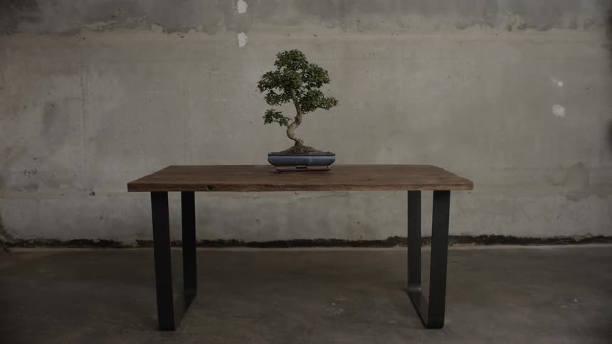 A bonsai tree in a flat blue pot sits on a simple table