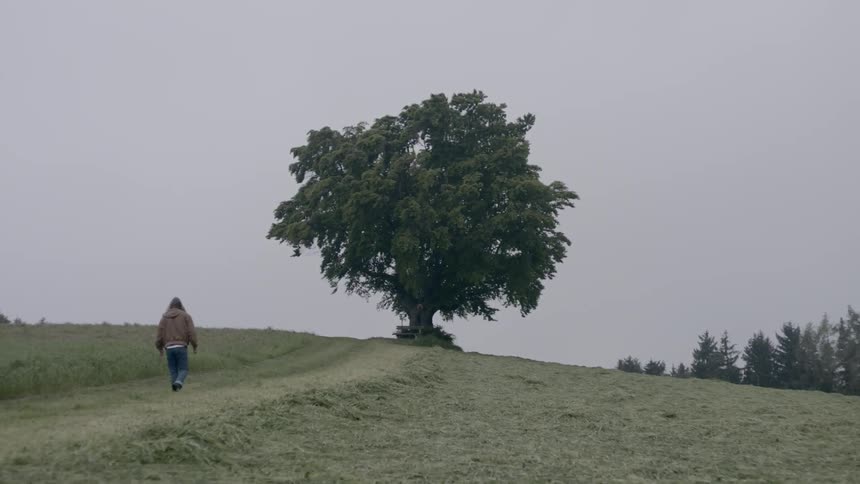 A man walks up a remote dirt road towards a single tree that stands against a gray sky