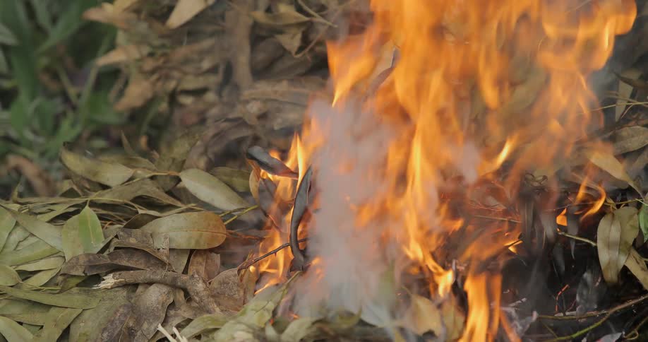 Leaves are added to a burning pile